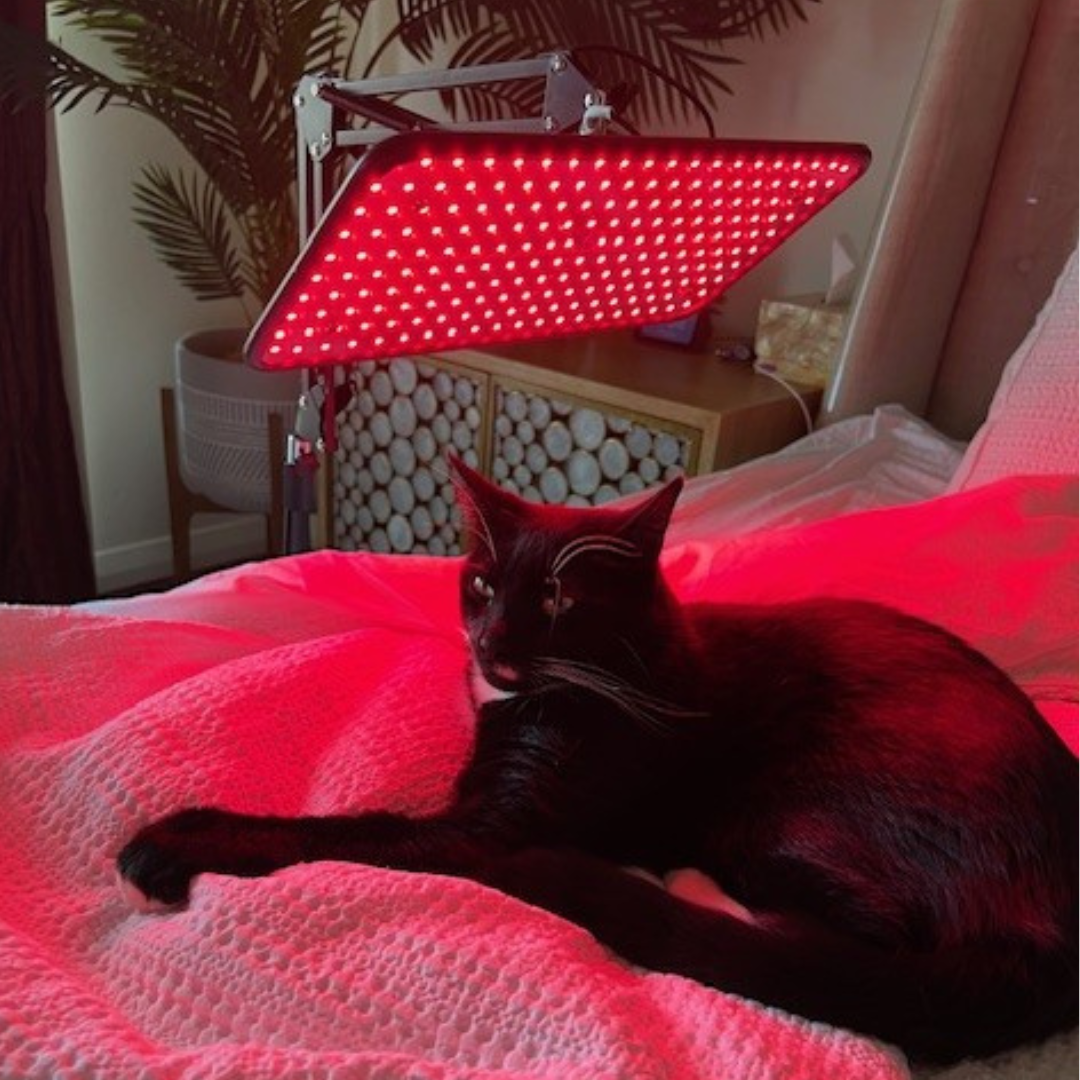 Thrive-Adjustable Red Light Therapy Device